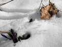 Spring is Here